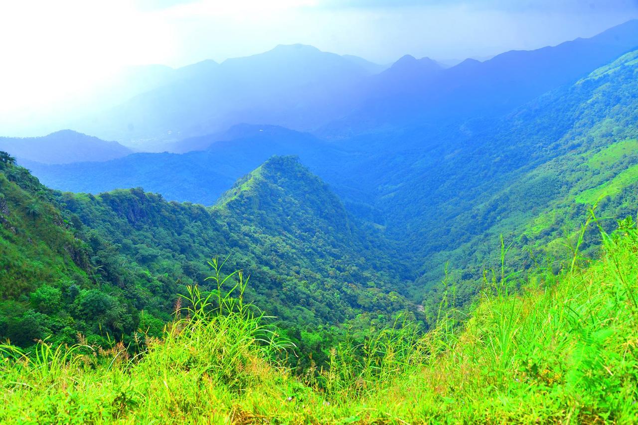 D'Heavenly Mist Resorts Erattupetta エクステリア 写真